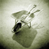 dv335003.jpg